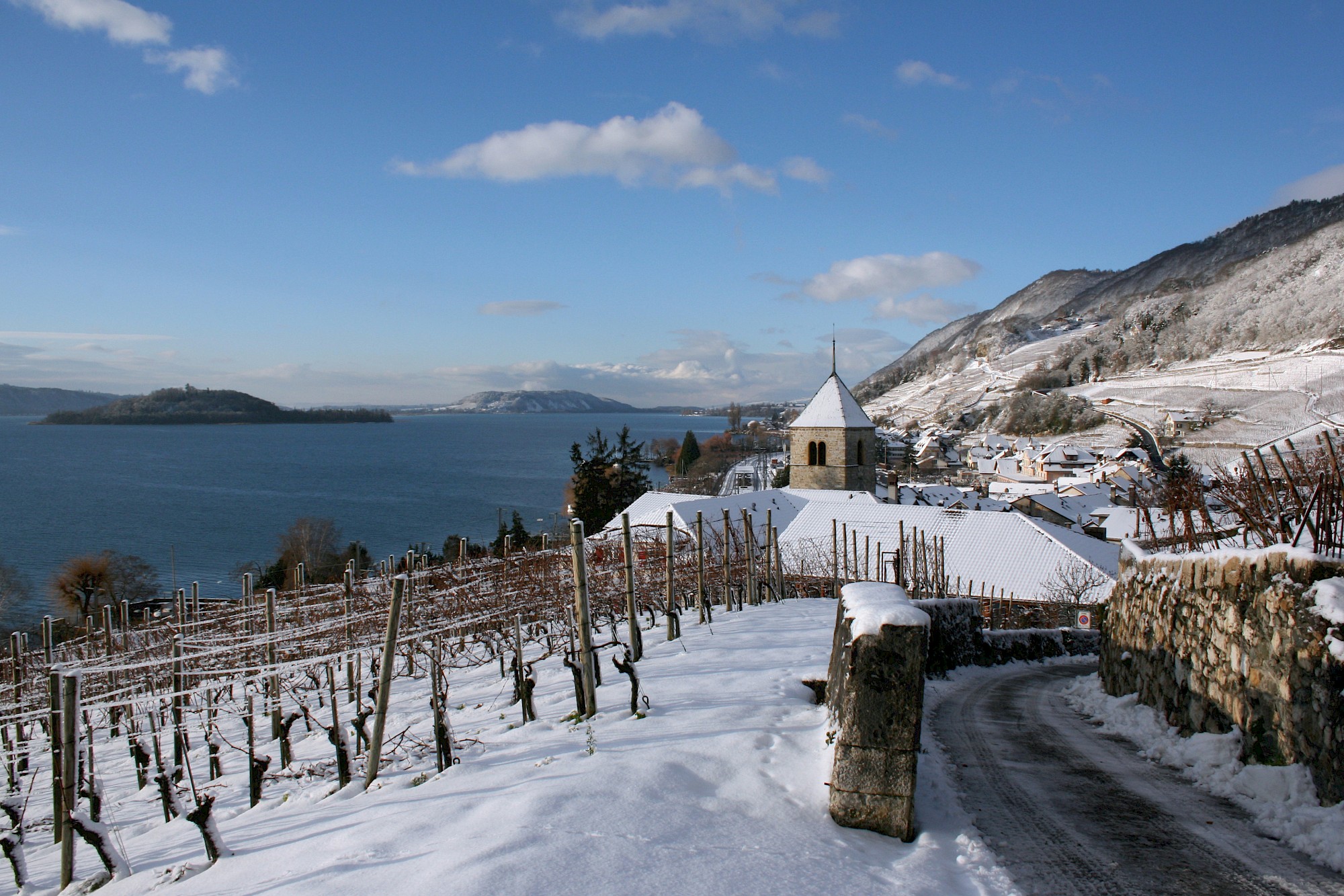 Reben Region im Winter mit See im Hintergrund